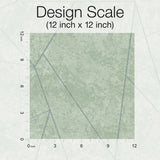 Wallpaper Nazca Wallpaper // Light Grey & Silver