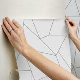 Wallpaper Nazca Wallpaper // White & Silver