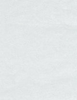 Wallpaper Oasis Wallpaper // Light Grey