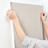 Wallpaper Oasis Wallpaper // Pewter