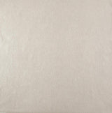 Wallpaper Oasis Wallpaper // Pewter