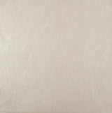 Wallpaper Oasis Wallpaper // Pewter