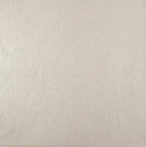 Wallpaper Oasis Wallpaper // Pewter