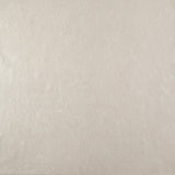 Wallpaper Oasis Wallpaper // Pewter