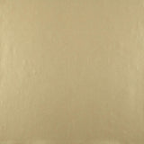 Wallpaper Oasis Wallpaper // Warm Pearl