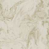 Wallpaper Oil & Marble Wallpaper // Blush Metallic