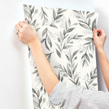 Wallpaper Olive Branch Wallpaper // Charcoal