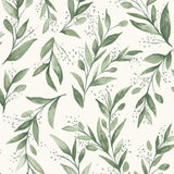 Wallpaper Olive Branch Wallpaper // Olive Grove