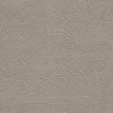 Wallpaper On Deck Wallpaper // Grey