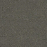 Wallpaper On Deck Wallpaper // Grey & Brown