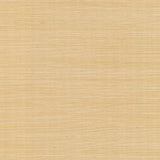 Wallpaper Palette Wallpaper // Gold Metallic 