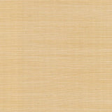 Wallpaper Palette Wallpaper // Gold Metallic