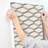 Wallpaper Palisades Paperweave Wallpaper // Beige & Black