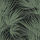 Wallpaper Palmetto Wallpaper // Black & Green