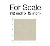 Wallpaper Panama Weave Wallpaper // Beige Metallic