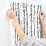 Wallpaper Paper Birch Wallpaper // Black & White