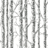 Wallpaper Paper Birch Wallpaper // Black & White