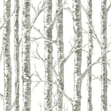 Wallpaper Paper Birch Wallpaper // White & Grey