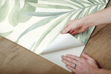 Wallpaper Paradise Palm Peel & Stick Wallpaper // Aloe