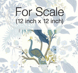 Wallpaper Peacock Wallpaper // Blue & White