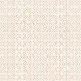 Wallpaper Pergola Lattice Wallpaper // Light Pink