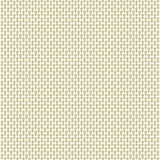 Wallpaper Petal Wallpaper // Beige