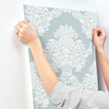 Wallpaper Pineapple Plantation Wallpaper // Blue