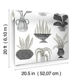 Wallpaper Plant Party Peel & Stick Wallpaper // Black