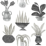 Wallpaper Plant Party Peel & Stick Wallpaper // Black