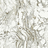 Wallpaper Polished Marble Wallpaper // Black & White