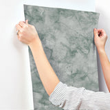 Wallpaper Pressed Petioles Wallpaper // Green