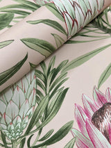 Wallpaper Protea Wallpaper // Blush