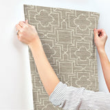 Wallpaper Quatrefoil Trellis Peel & Stick Wallpaper // Neutral