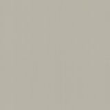 Wallpaper Radiant Juniper Wallpaper // Beige