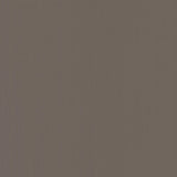 Wallpaper Radiant Juniper Wallpaper // Brown