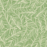 Wallpaper Rainforest Canopy Wallpaper // Green