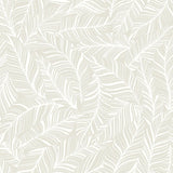Wallpaper Rainforest Canopy Wallpaper // Pearl