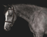 Wallpaper Rose Dapple Peel & Stick Wallpaper // Warm Grey