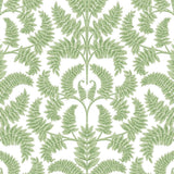 Wallpaper Royal Fern Damask Wallpaper // Green