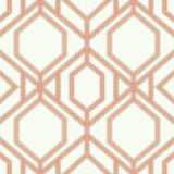 Wallpaper Sawgrass Trellis Wallpaper // Coral