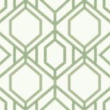 Wallpaper Sawgrass Trellis Wallpaper // Green