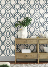 Wallpaper Sawgrass Trellis Wallpaper // White & Blue