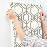 Wallpaper Sawgrass Trellis Wallpaper // White & Taupe