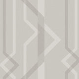 Wallpaper Shape Shifter Wallpaper // Grey