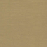 Wallpaper Shining Sisal Grasscloth Wallpaper // Beige Metallic