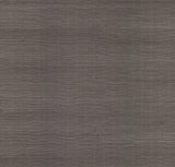 Wallpaper Sisal Grasscloth Wallpaper // Silver Metallic