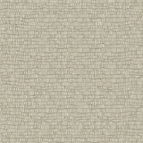 Wallpaper Skin Wallpaper // Beige Metallic
