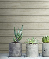 Wallpaper Skinnylap Wallpaper // Grey & Brown