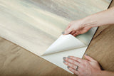 Wallpaper Soothing Mists Scenic Peel & Stick Wallpaper // Blue & Beige