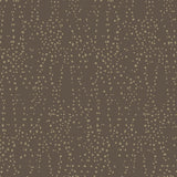 Wallpaper Star Struck Wallpaper // Brown & Gold